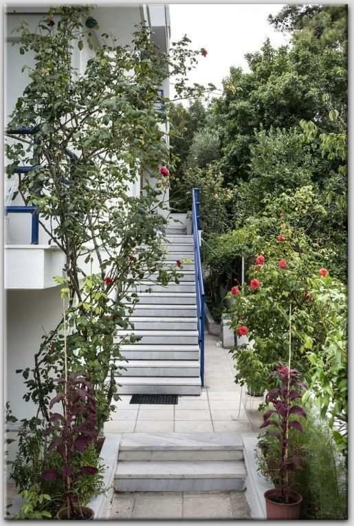 Anni'S Cozy Apartments 50M From The Beach Agía Triás Dış mekan fotoğraf