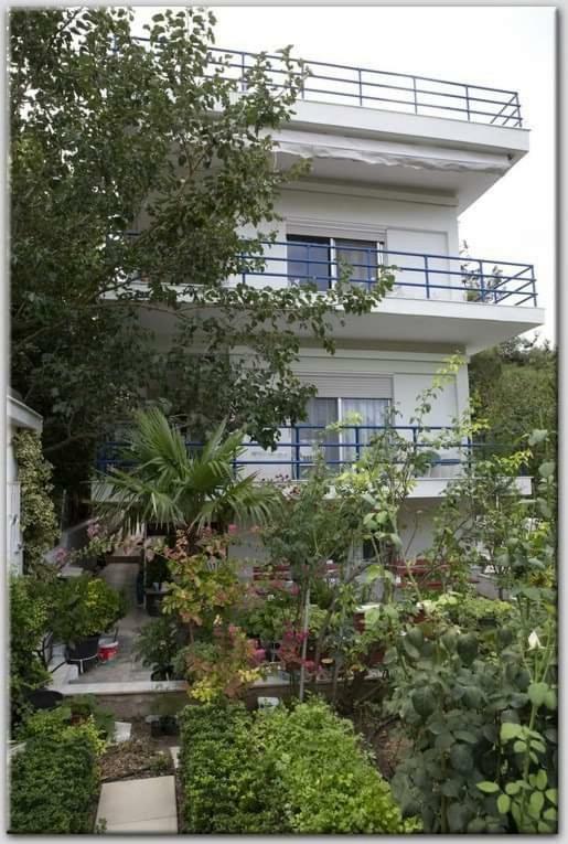 Anni'S Cozy Apartments 50M From The Beach Agía Triás Dış mekan fotoğraf